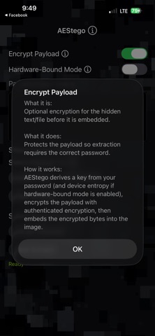 AEStego screenshot