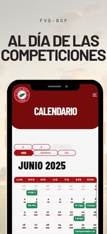 Federación Vizcaína de Golf screenshot
