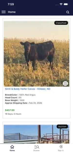 Connexion Livestock Marketing screenshot 2