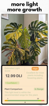 Blackthumb: Houseplant care screenshot 5