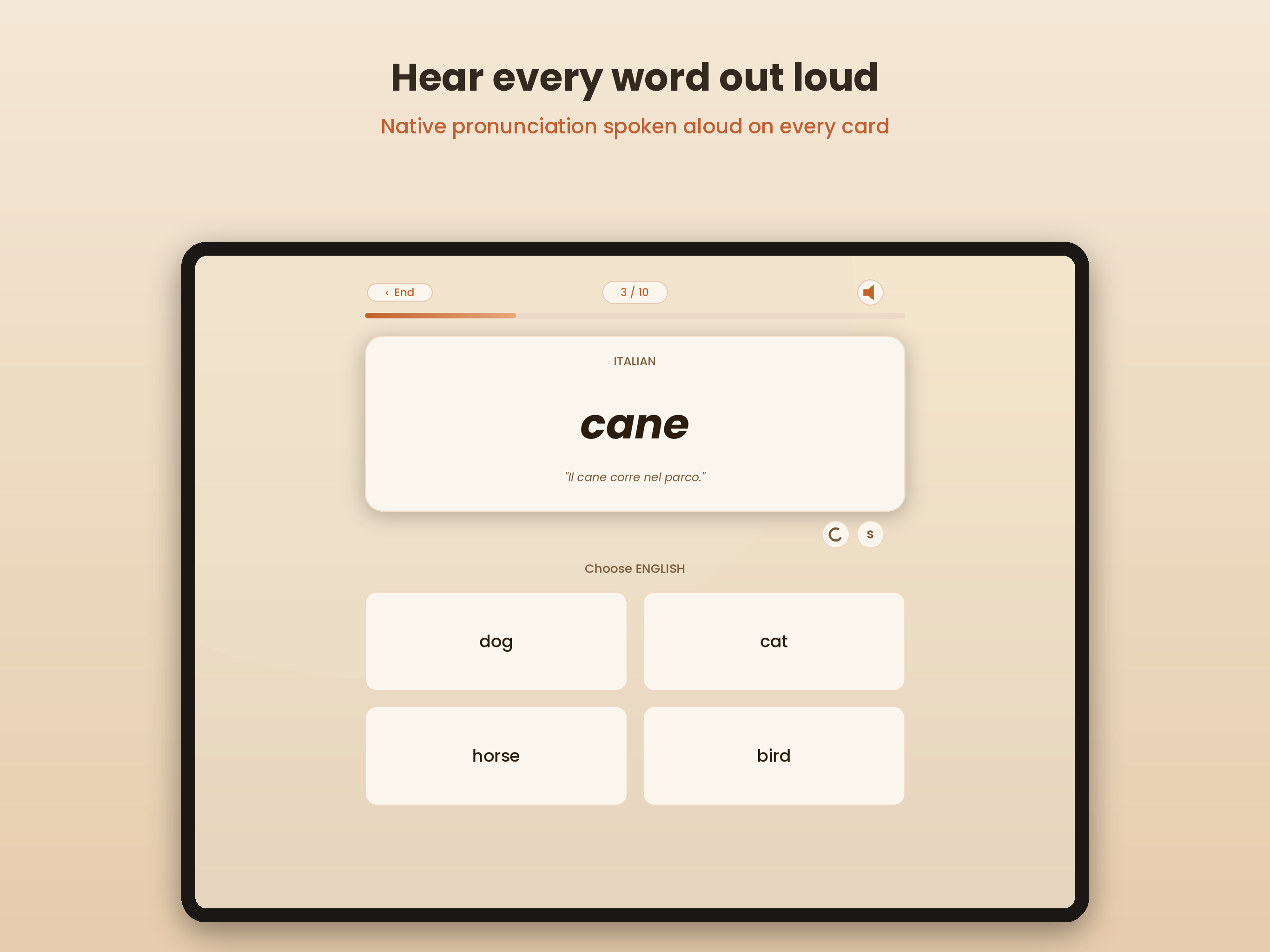 TurnCards: Language Learning screenshot 11