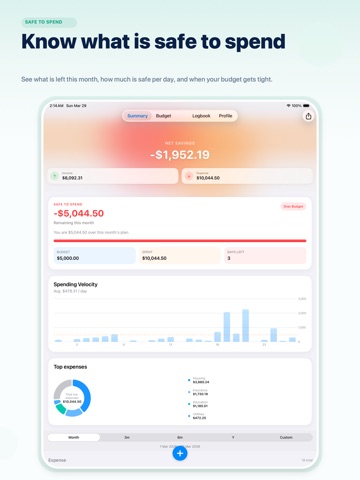 FamilyFund: Family Budget iPad screenshot