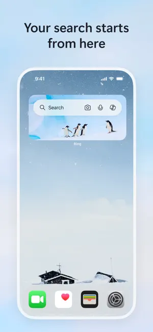 Microsoft Bing Search screenshot 4