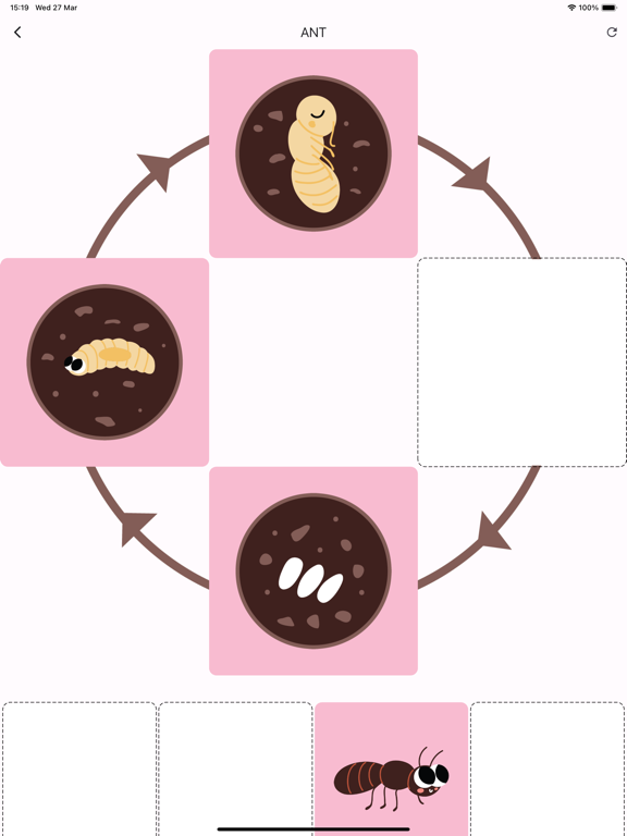 Screenshot #4 pour Learn life cycle for toddler