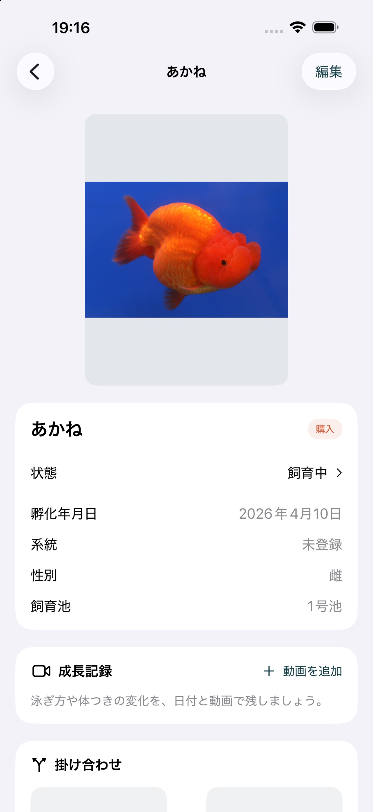 Screenshot 2 of らんちゅう手帖