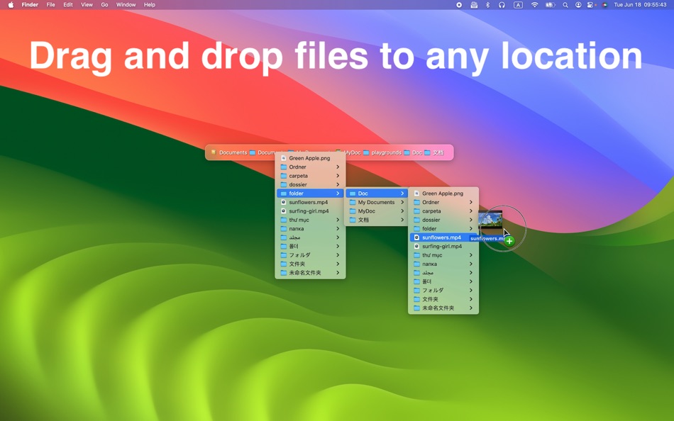 #3. File Drawer (macOS) 由: 栋梁 周