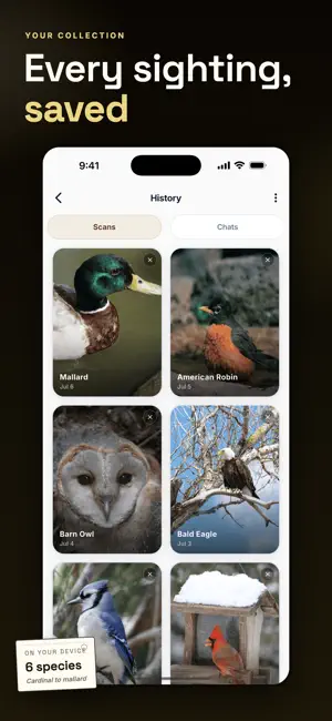 Bird Identifier: Species ID screenshot 3