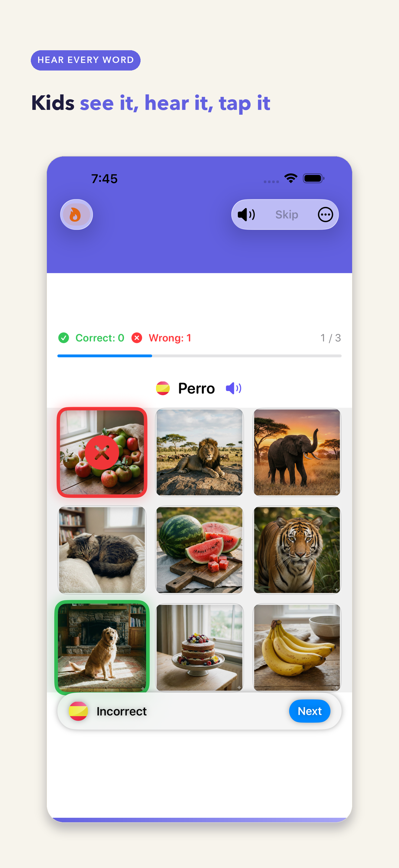 Foreign Words: Picture Vocab screenshot 4