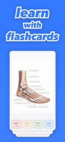 Flashcards Maker - Study Cards screenshot
