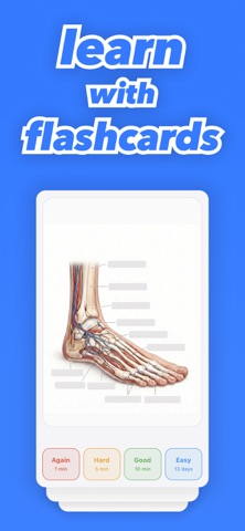Flashcards Maker - Study Cards Screenshot 1 of 6