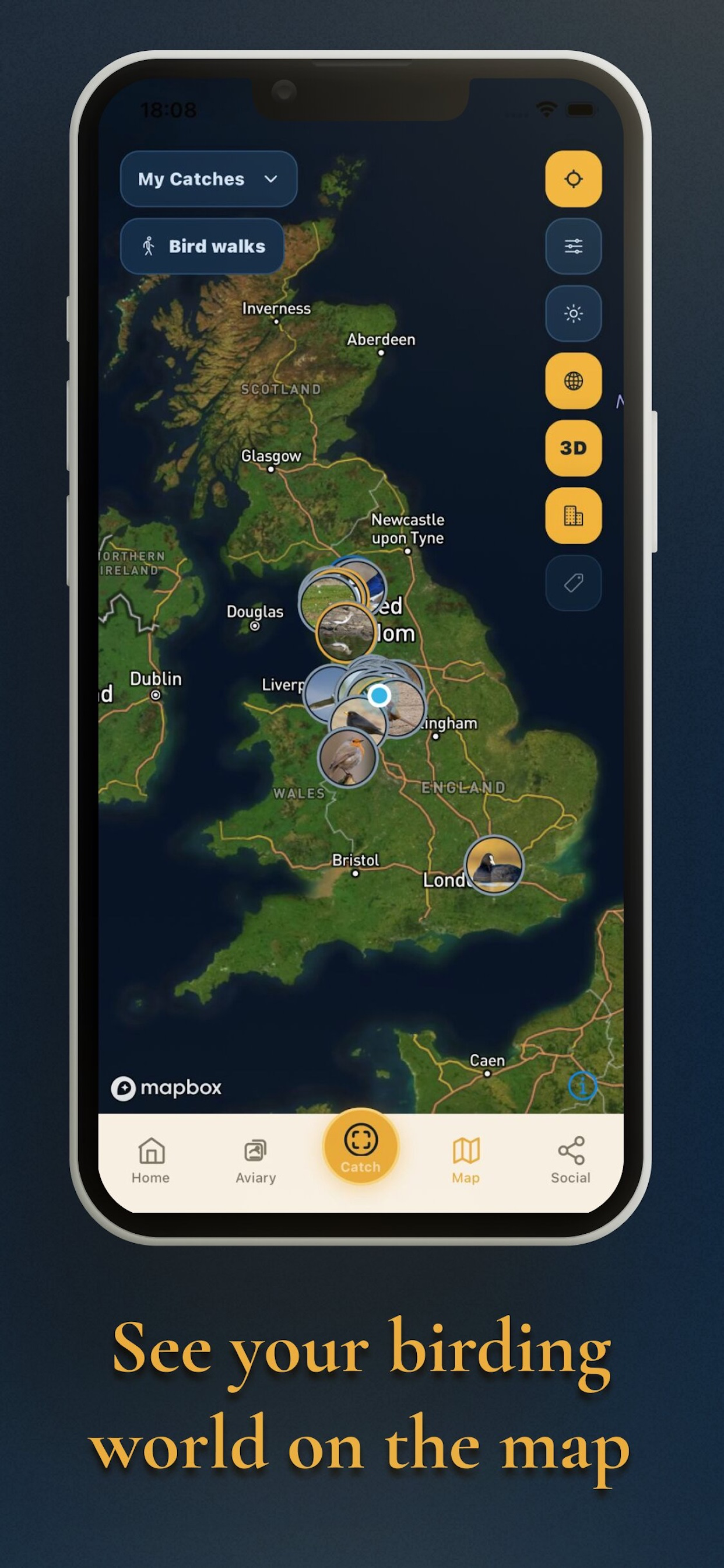 Lifer - Bird ID & Birding screenshot 6