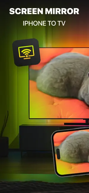 Screen Mirroring to TV: DoCast screenshot 1