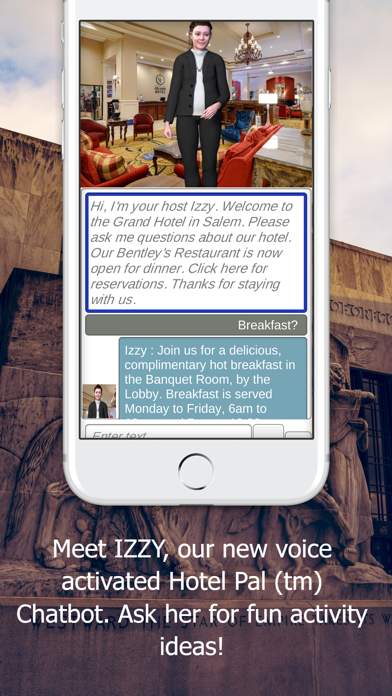 Grand Hotel Salem Screenshot