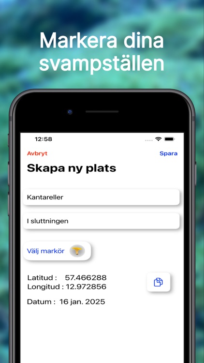 Kantarellappen screenshot-5