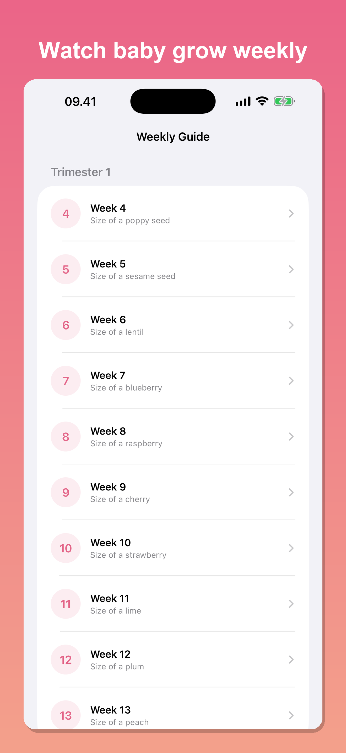 Contraction Timer: Bumpy screenshot 4