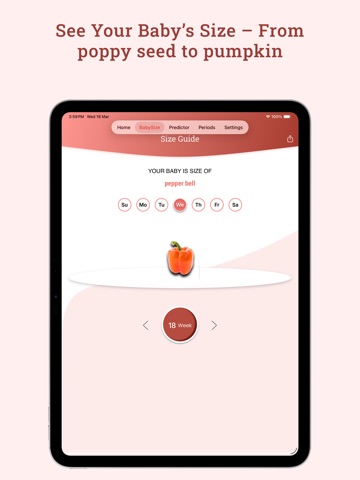PregnancyTrack+ iPad screenshot