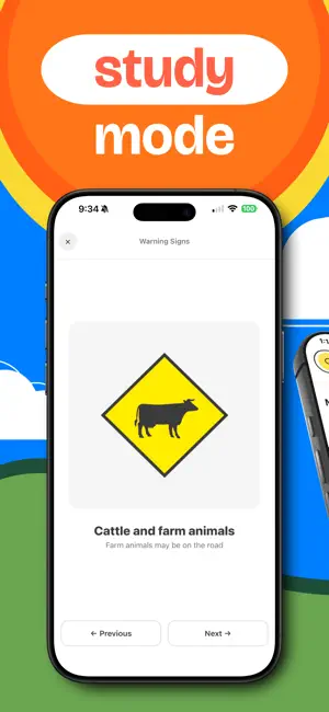 Irish Road Signs & Markings screenshot 4