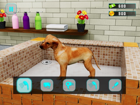 Virtual Pet Adoption Simulator