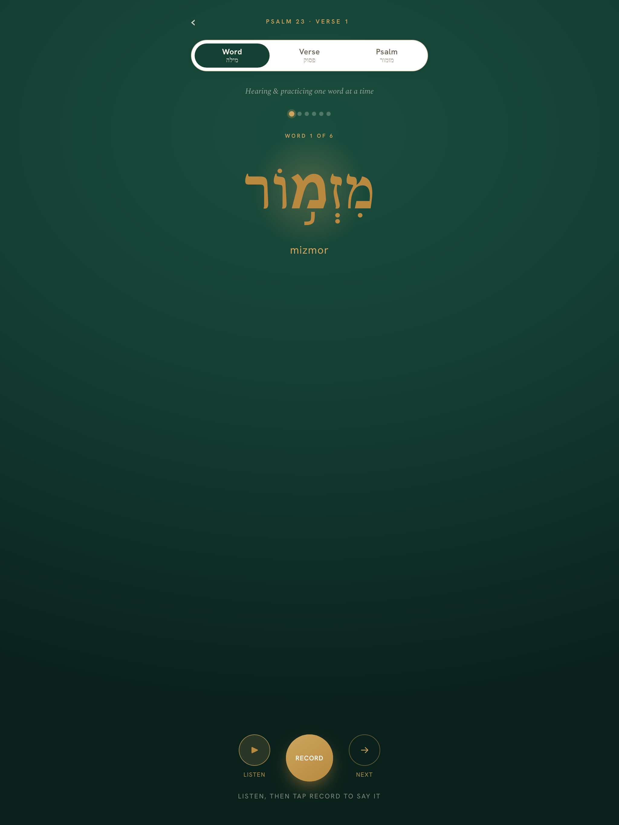 Mizmor screenshot 10