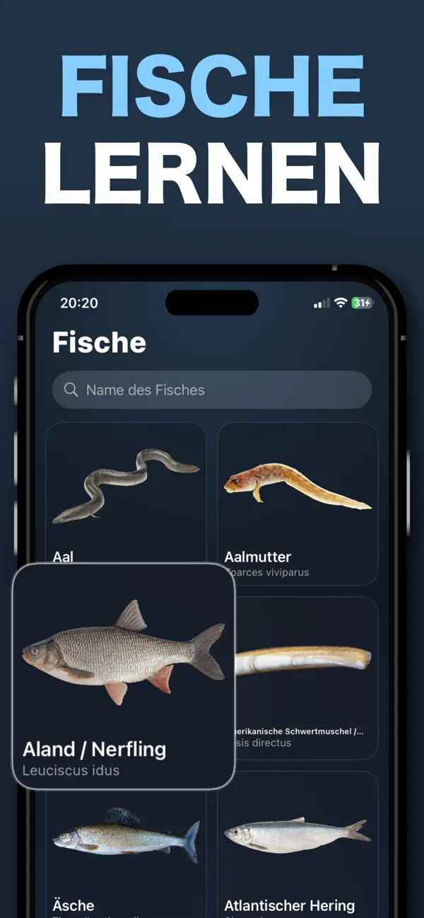 Screenshot #2 pour Angel App - Fishing Plus