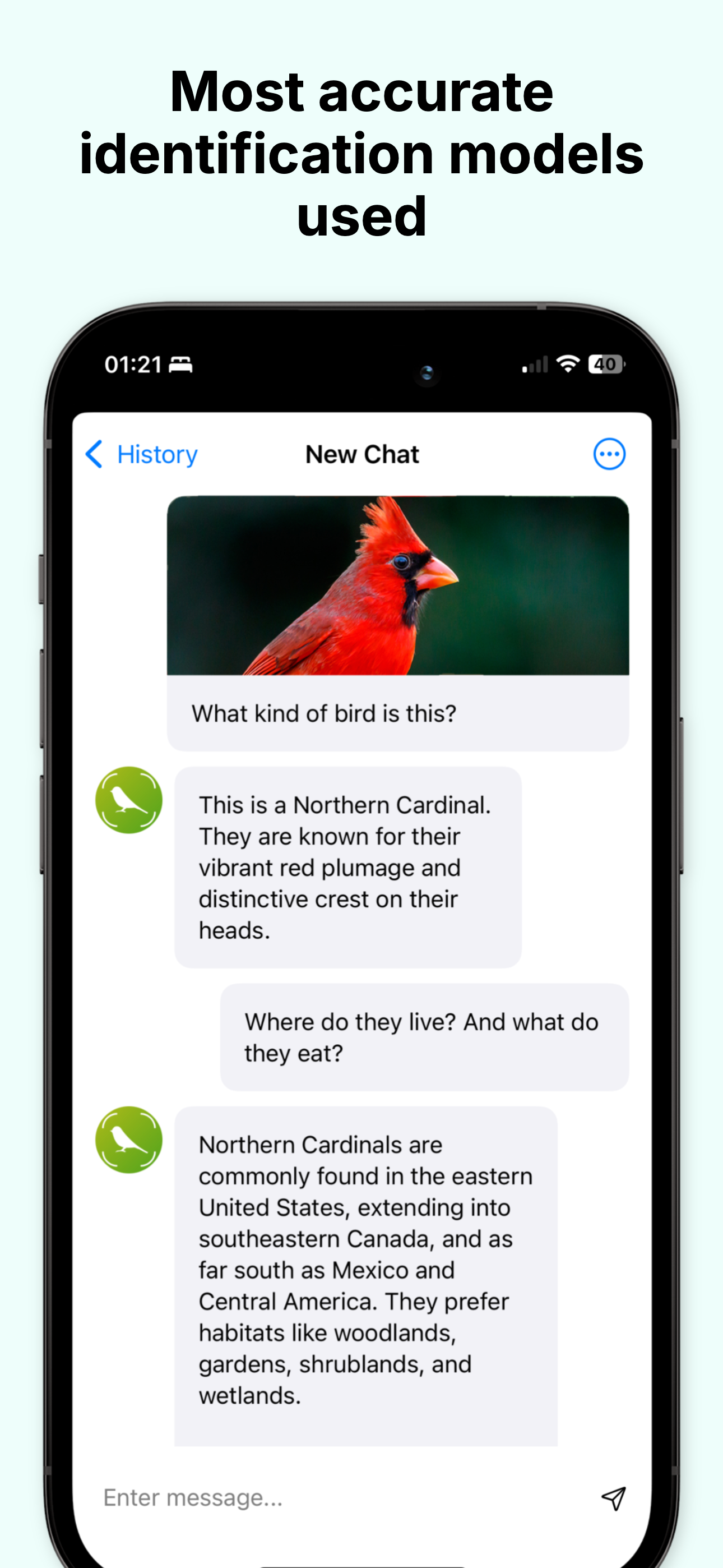 Bird Identifier - Birding ID
