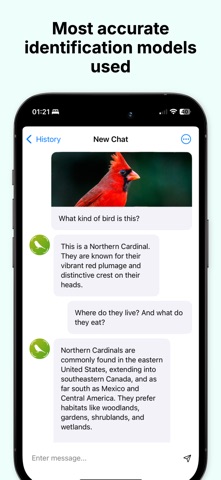 Bird Identifier - Birding ID screenshot