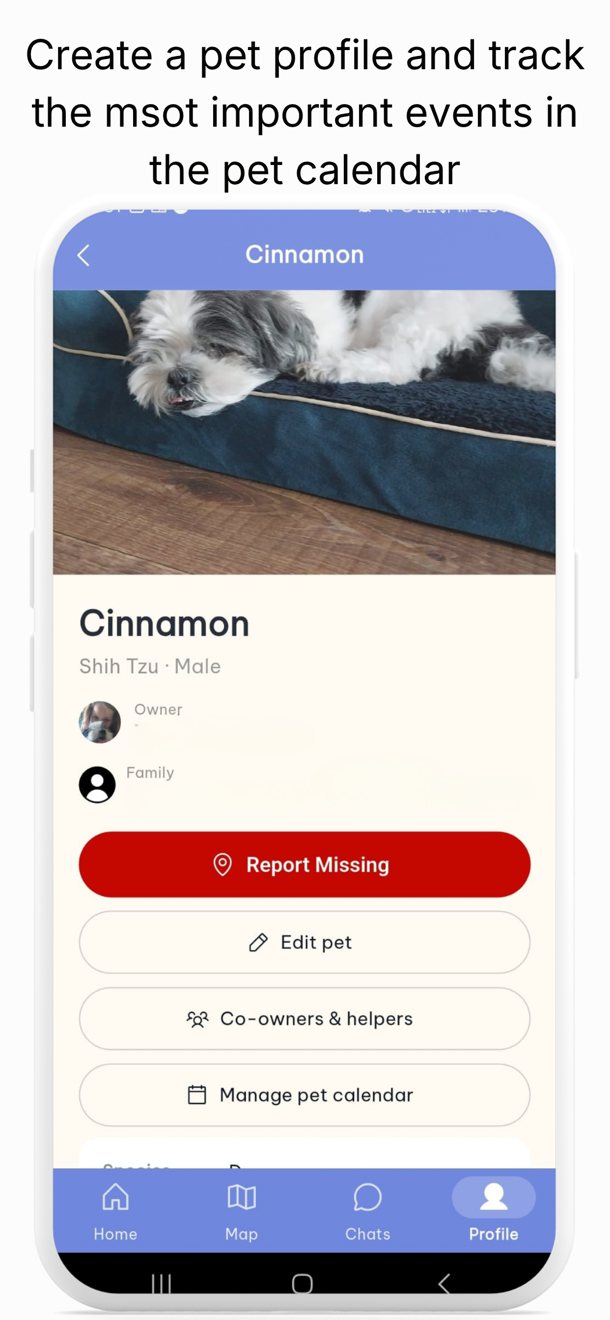 All U Can Pet Together screenshot 4