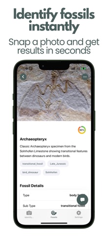 Fossil Identifier: Fossil ID iPhone screenshot