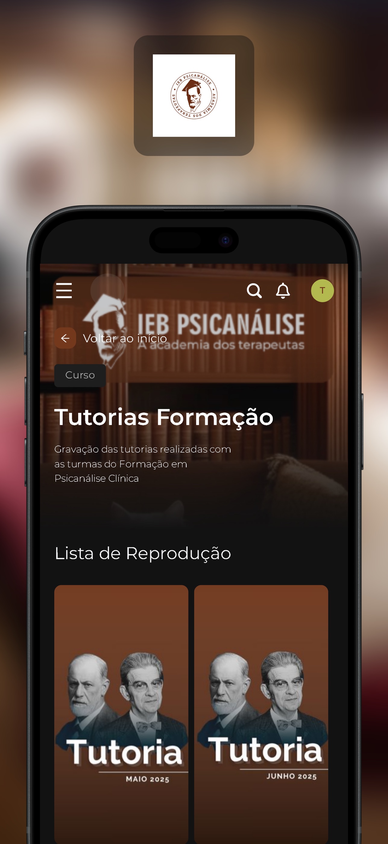 Screenshot 4 of IEB Psicanálise