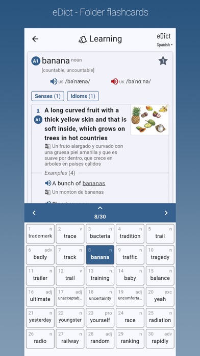 eDict - English Dictionary Screenshot