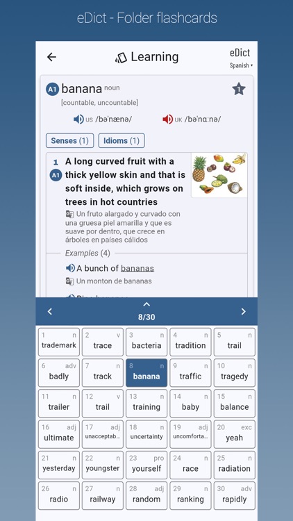 eDict - English Dictionary screenshot-6