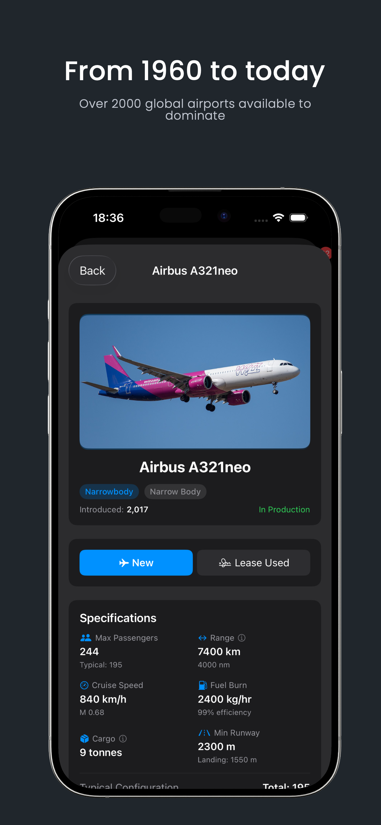 Airline Executive