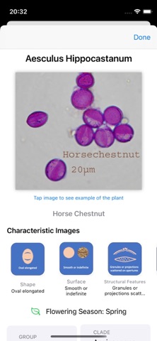 PollenID - By PMB screenshot