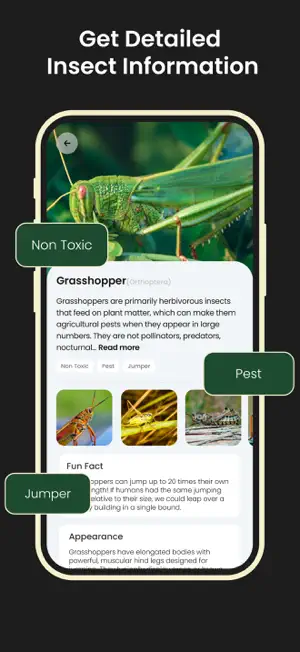 Insect Bug Identifier & Finder screenshot 3