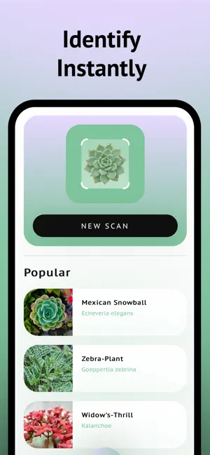 Succulent Identifier App screenshot 3