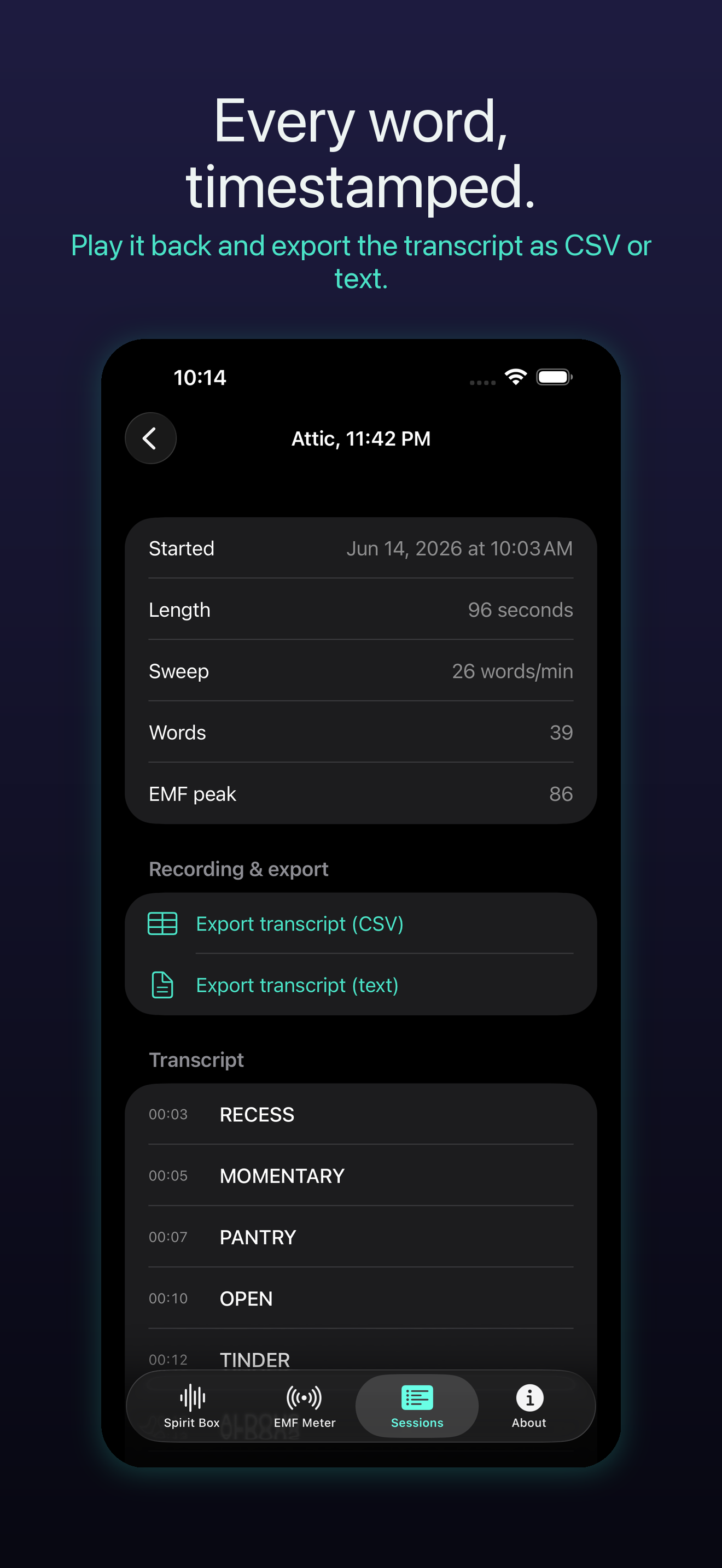 SpectraBox: Spirit Box EVP