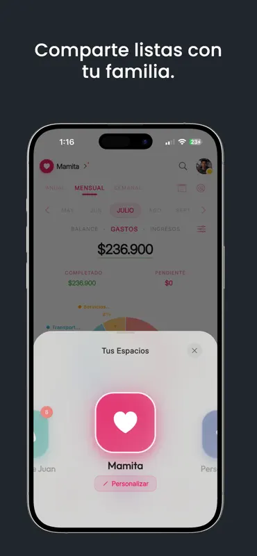 NoSeMePasa: Control de Pagos screenshot 9 of 9