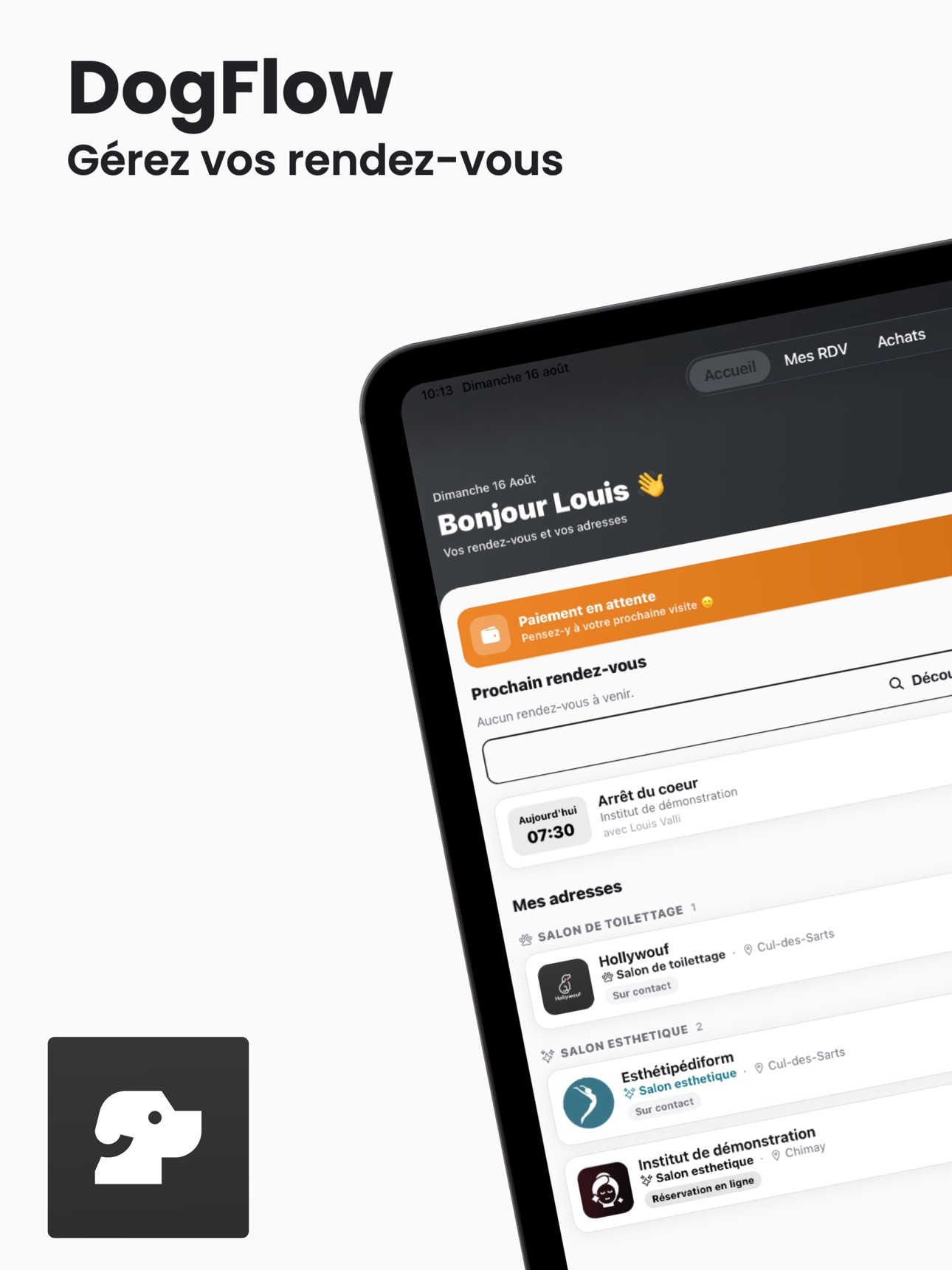 Screenshot 7 of Dogflow
