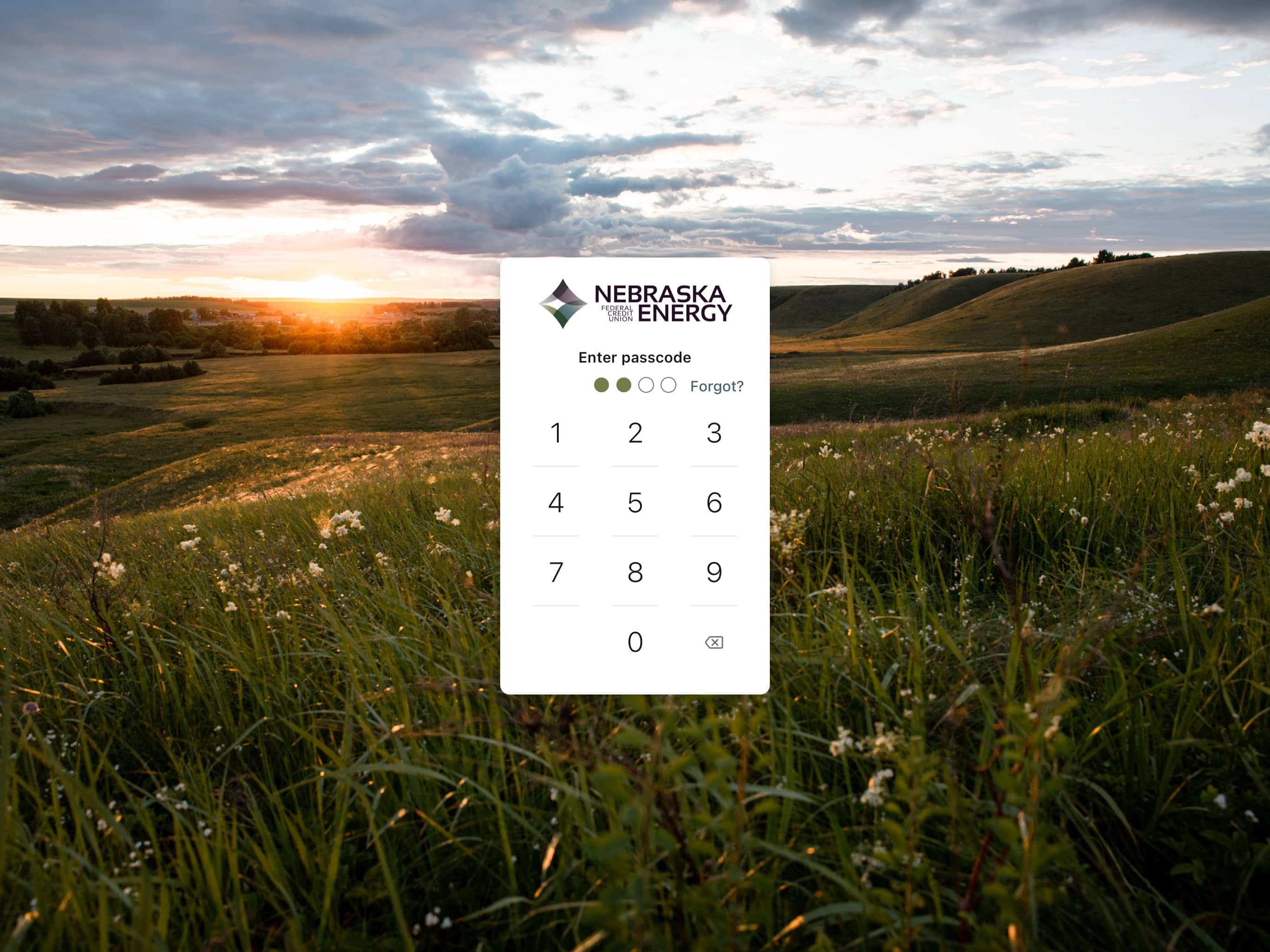 Nebraska Energy FCU screenshot 6