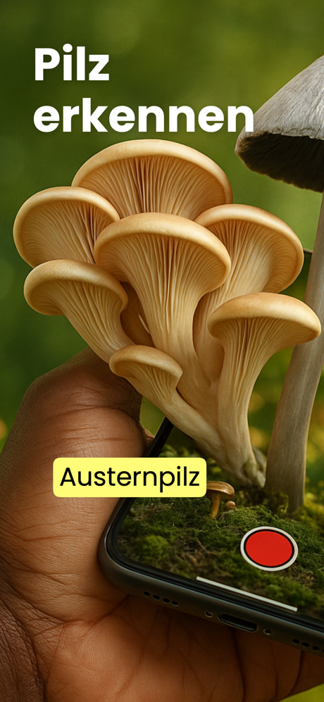Pilze Bestimmen - Mushby screenshot 1