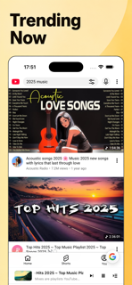 Offline Player - Music Browser screenshot 3