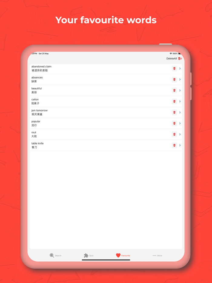 Chinese Dictionary -Translator