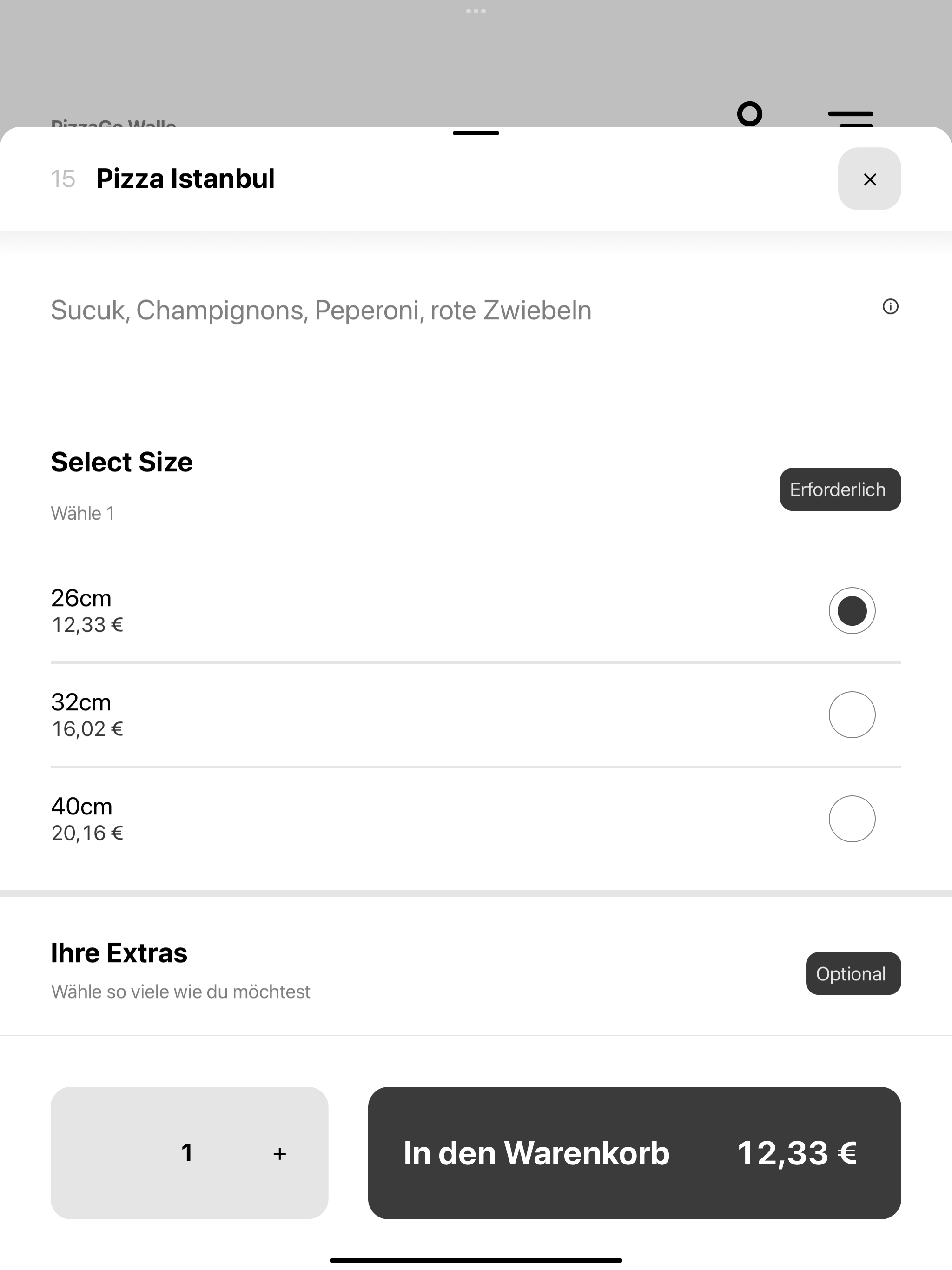 PizzaGo