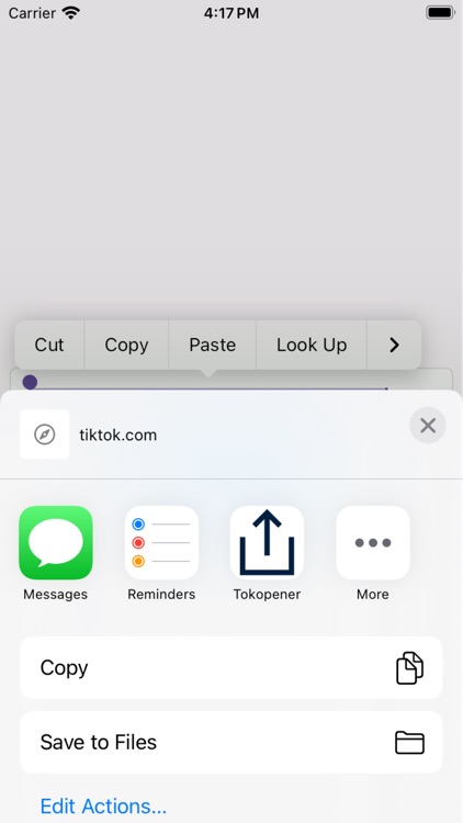 TokOpener: View TikTok Link