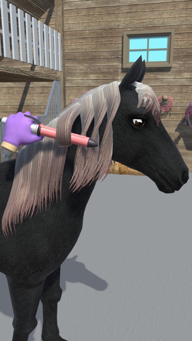 Horse Care Beauty Salon Screenshot