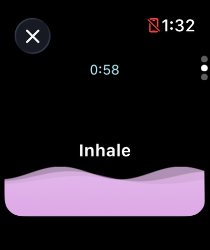 Vayu: Breathing Guide screenshot 17