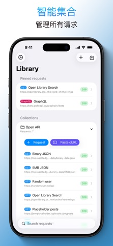 APIOrbit – REST & GraphQL screenshot