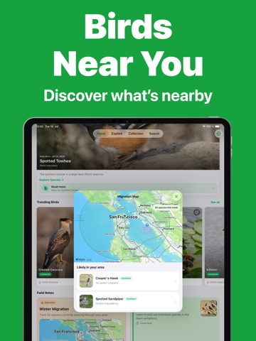 Bird Call Identifier - Bird ID iPad screenshot