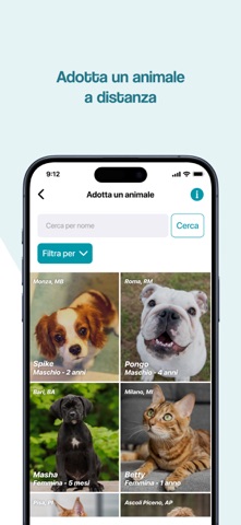 Natoola screenshot