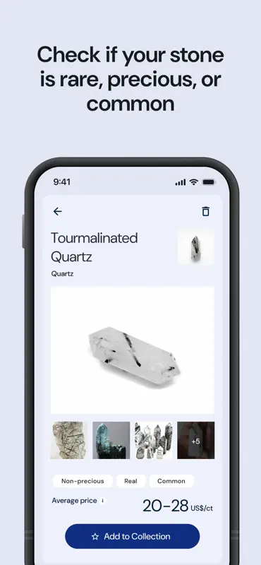 Raristone: Rock & Mineral ID screenshot 3 of 5